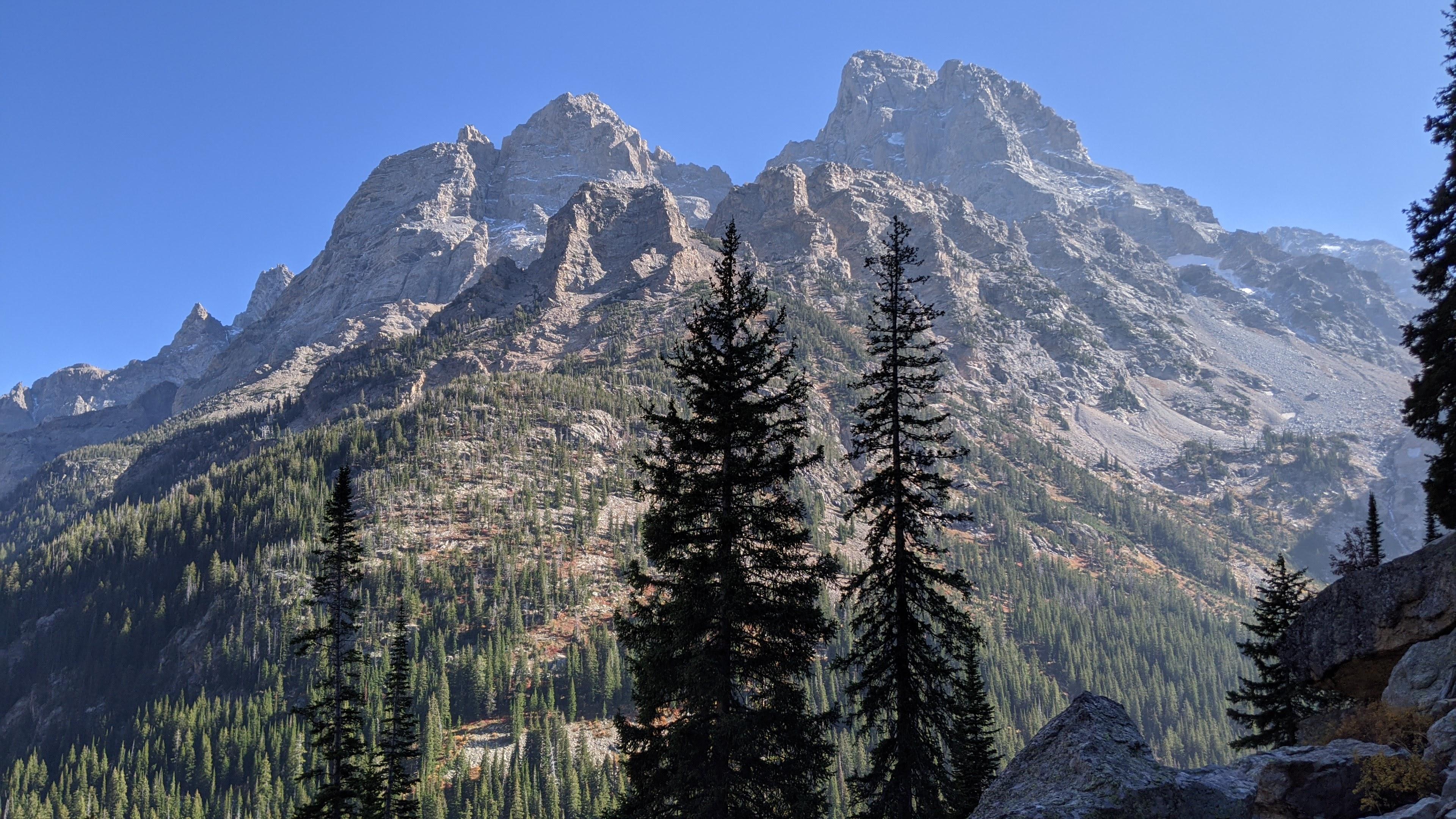 Teewinot and The Grand towering over the Cascade Canyon Trail